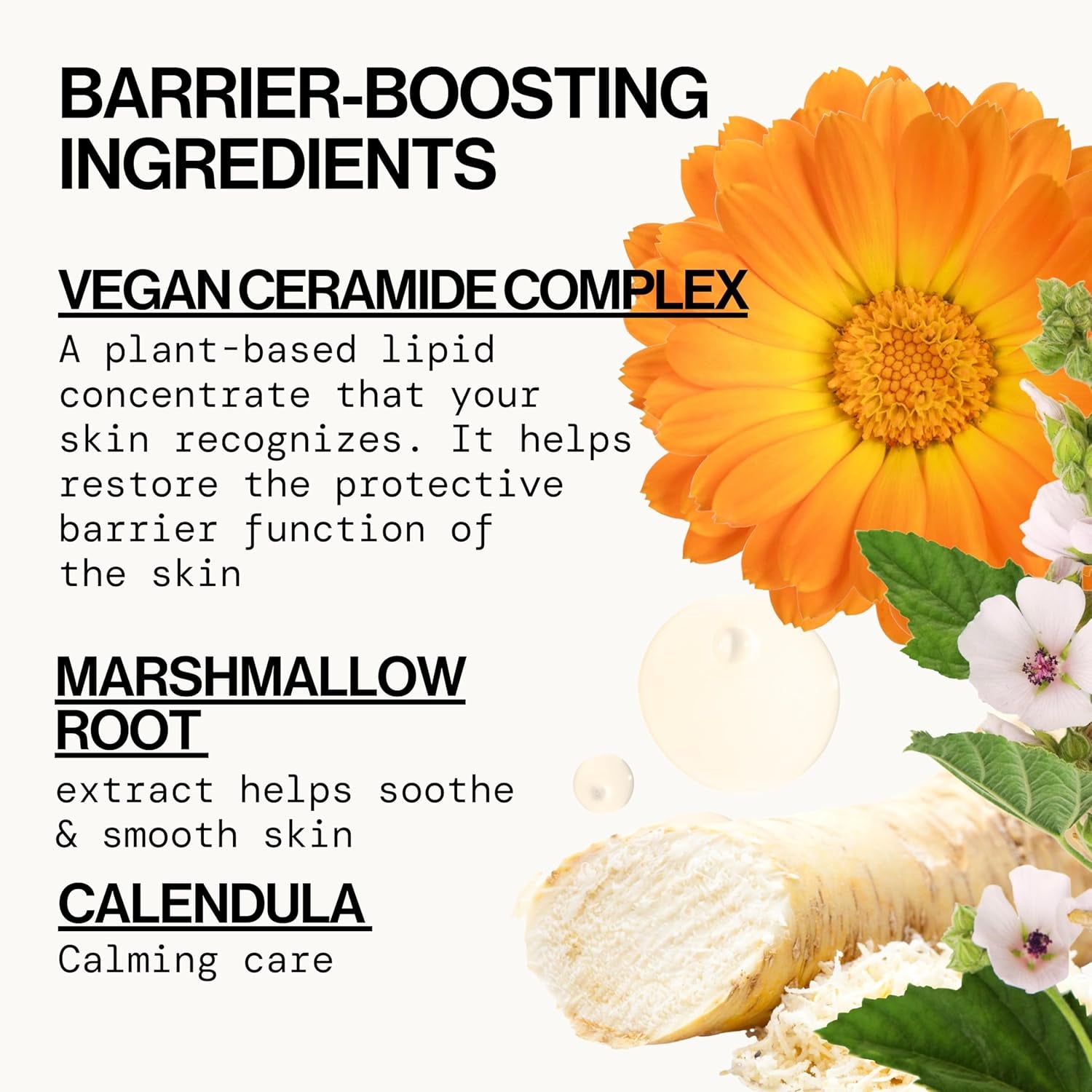 Vegan Ceramide Barrier Repair Face Wash Cleanser for Sensitive Skin - Fragrance - Free, Extra Gentle, Dermatologist Tested, with Calendula, Vegan & Cruelty - Free - Born this WayVegan Ceramide Barrier Repair Face Wash Cleanser for Sensitive Skin - Fragrance - Free, Extra Gentle, Dermatologist Tested, with Calendula, Vegan & Cruelty - FreeBorn this WayBorn this Way