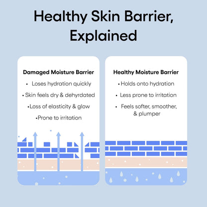 Water Bank Blue Hyaluronic Intensive Moisturizer: Hydrating Face Cream for Extra Dry Skin with Squalane & Peptide for Skin Barrier Support, Dermatologist - Tested - Born this WayWater Bank Blue Hyaluronic Intensive Moisturizer: Hydrating Face Cream for Extra Dry Skin with Squalane & Peptide for Skin Barrier Support, Dermatologist - TestedBorn this WayBorn this Way