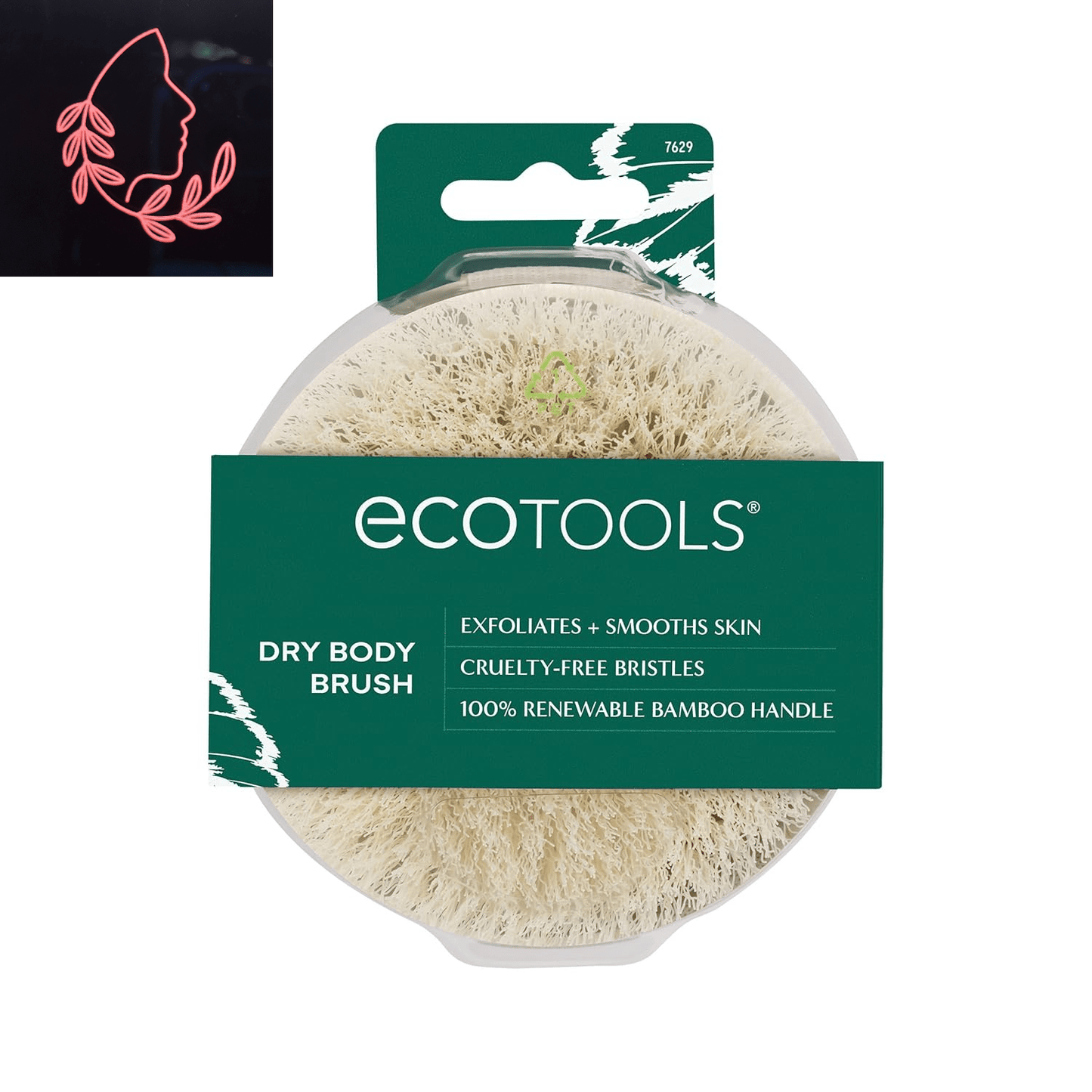 dry body brush