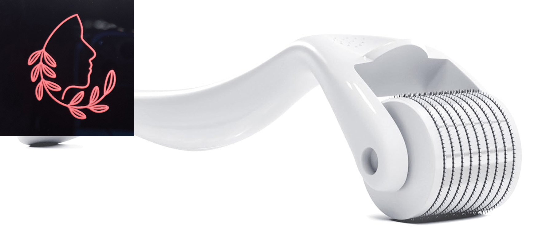microneedle derma roller
