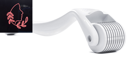 microneedle derma roller