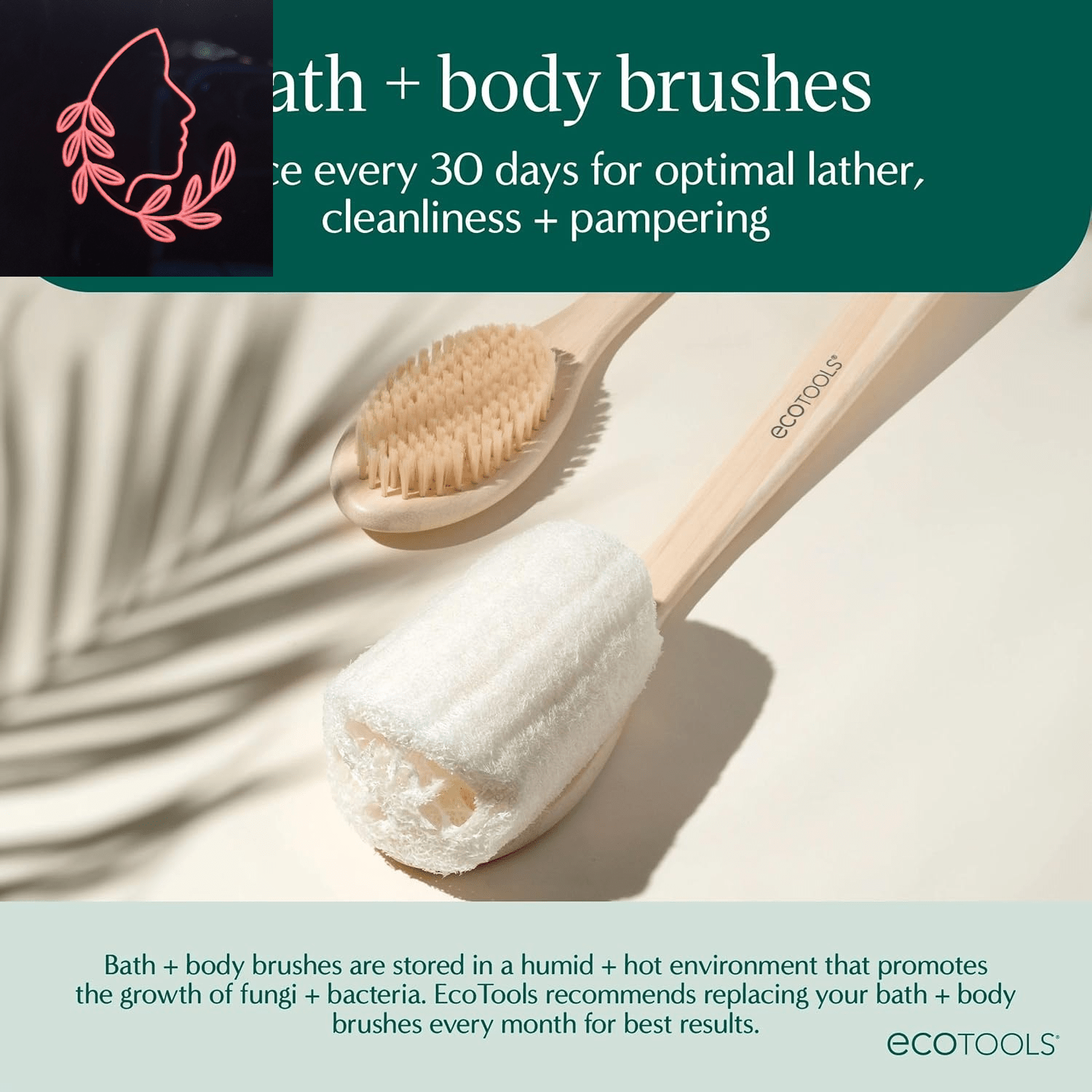 dry body brush