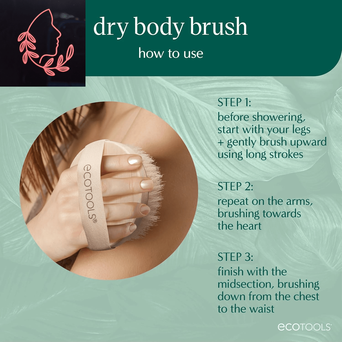dry body brush