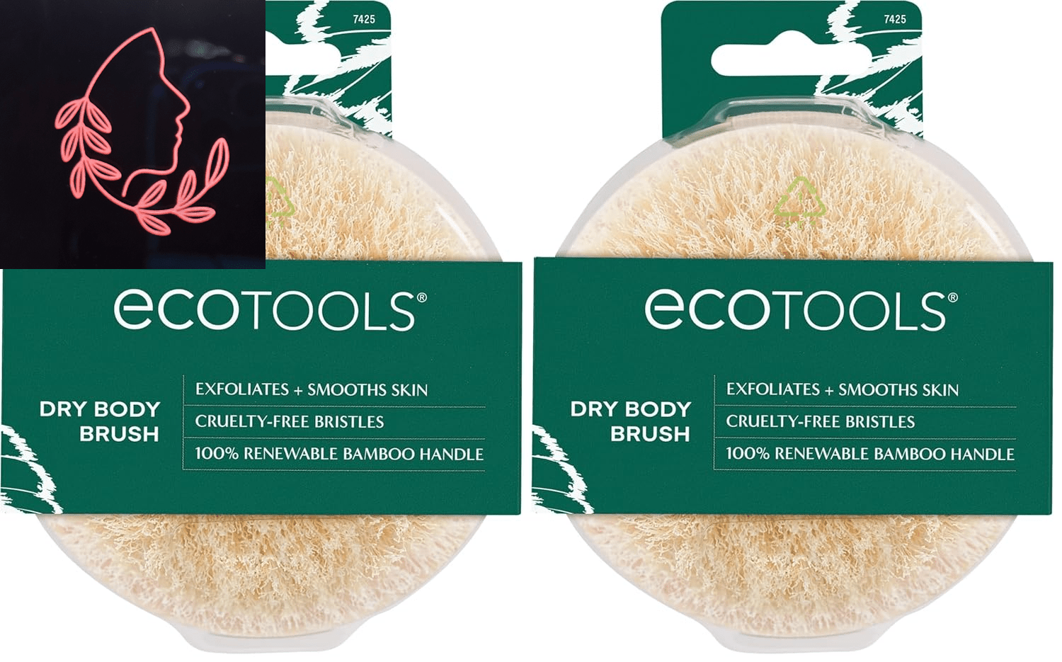 dry body brush