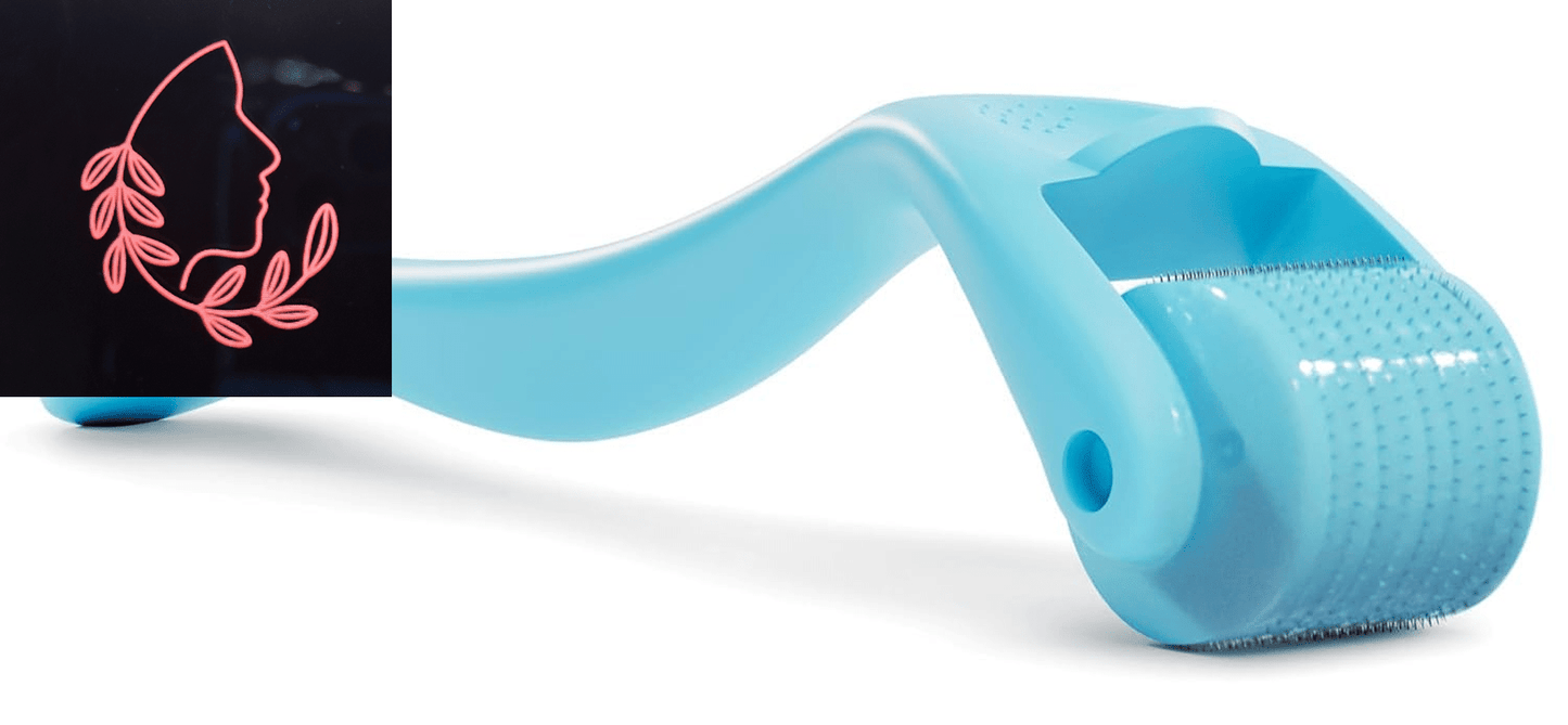 microneedle derma roller