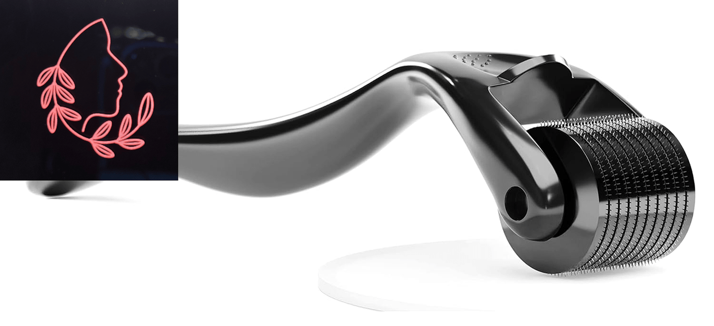 microneedle derma roller